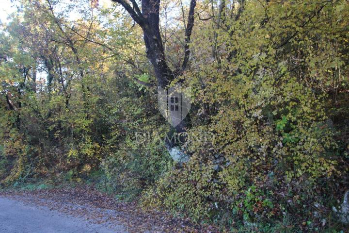 Labin, okolica, zemljište na odličnoj lokaciji