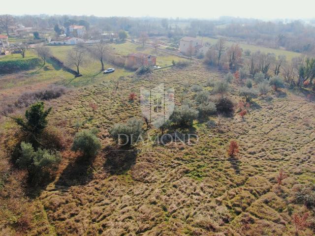  Barban, Jug Istre, građevinsko zemljište 