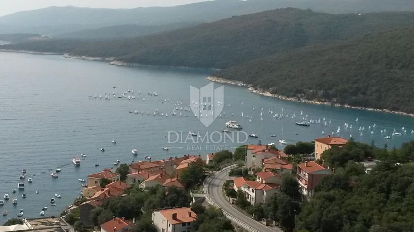 Labin, okolica, samostojeća kuća s neprocjenjivim pogledom