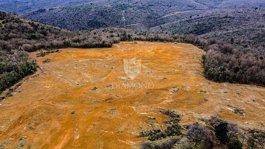 Barban, jug Istre, veliko građevinsko zemljište za 53 objekta