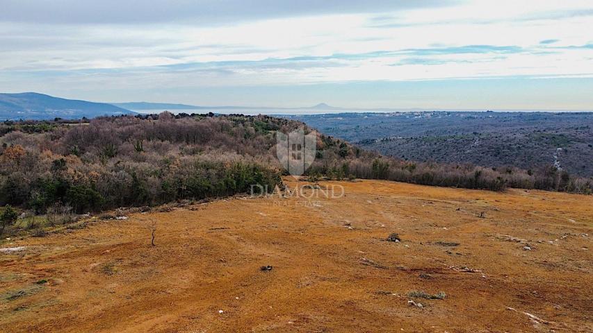 Barban, jug Istre, veliko građevinsko zemljište za 53 objekta