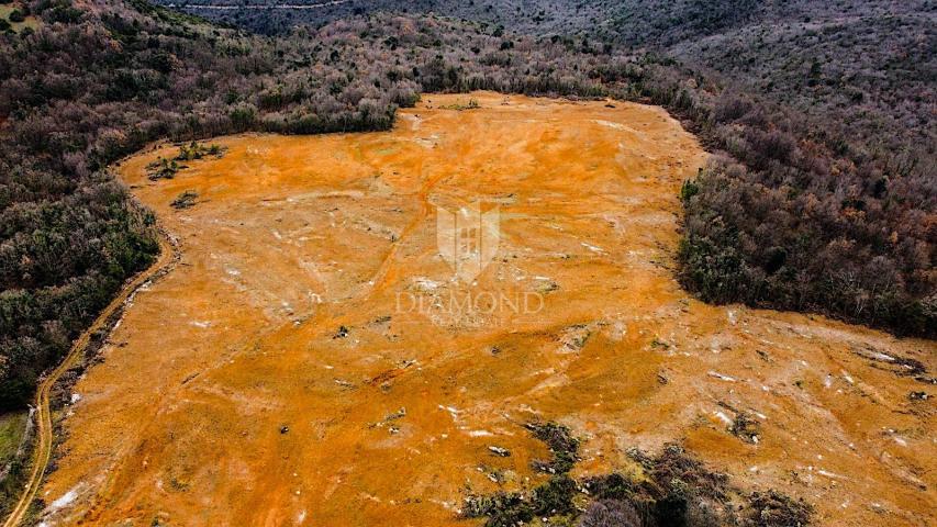 Barban, jug Istre, veliko građevinsko zemljište za 53 objekta