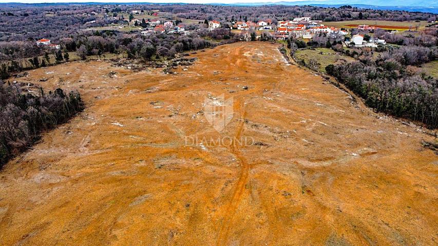 Barban, jug Istre, veliko građevinsko zemljište za 53 objekta