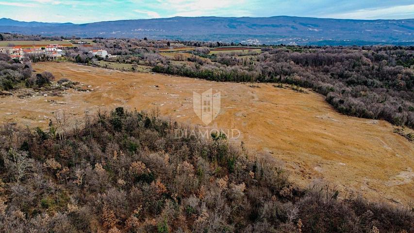 Barban, jug Istre, veliko građevinsko zemljište za 53 objekta