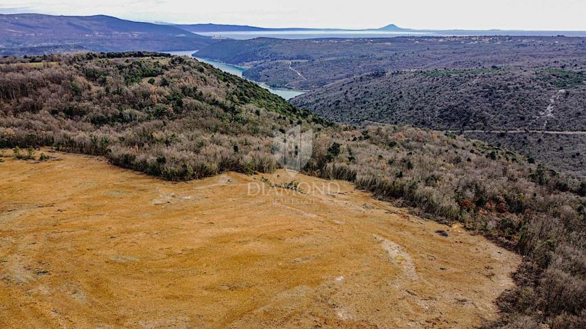 Barban, jug Istre, veliko građevinsko zemljište za 53 objekta