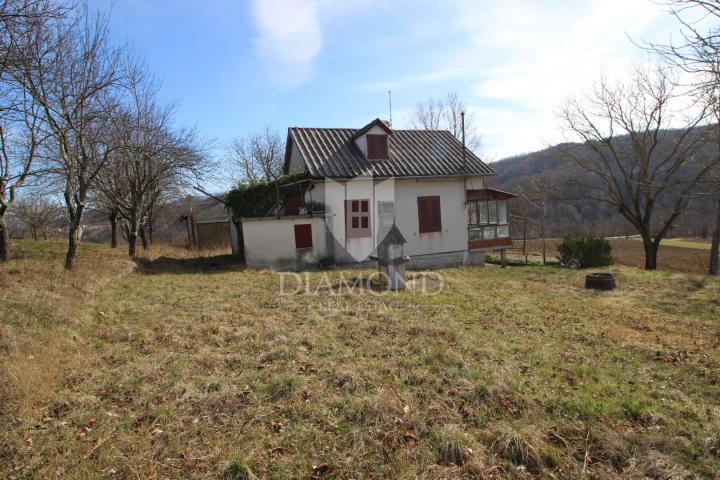 Cerovlje, okolica, zemljište sa starinom okruženo prirodom