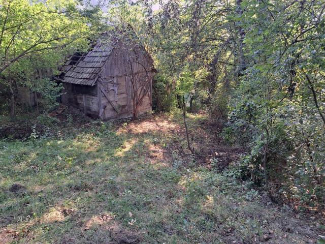 Zlatibor Zlatibor