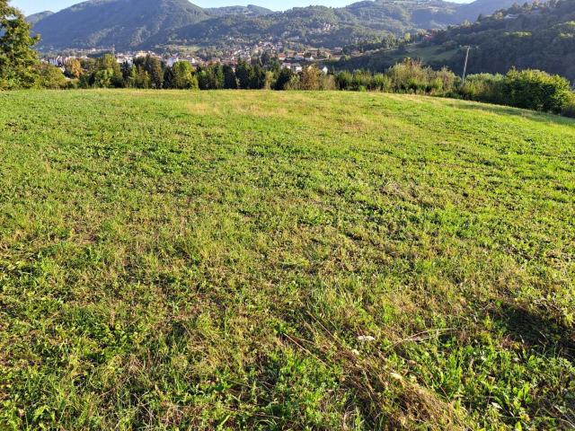 Zlatibor Zlatibor