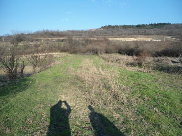 PALILULA VISNJICA 1900m2 , 19a , 95000e