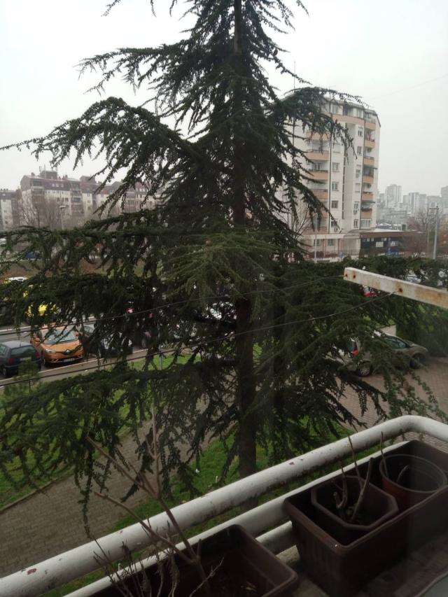 NOVI BEOGRAD BLOK 71 75m2 , T , 168000e