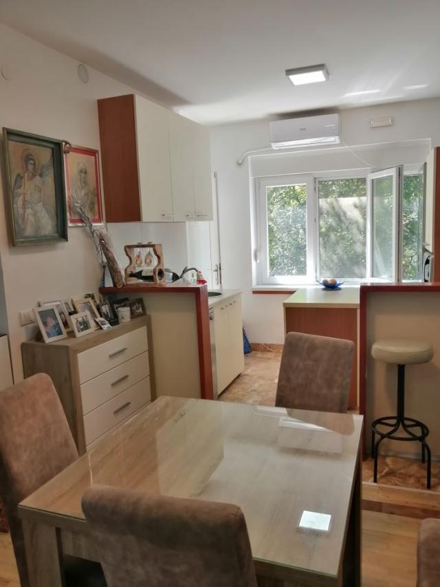 SAVSKI VENAC DEDINJE 58m2 , T , 190000e