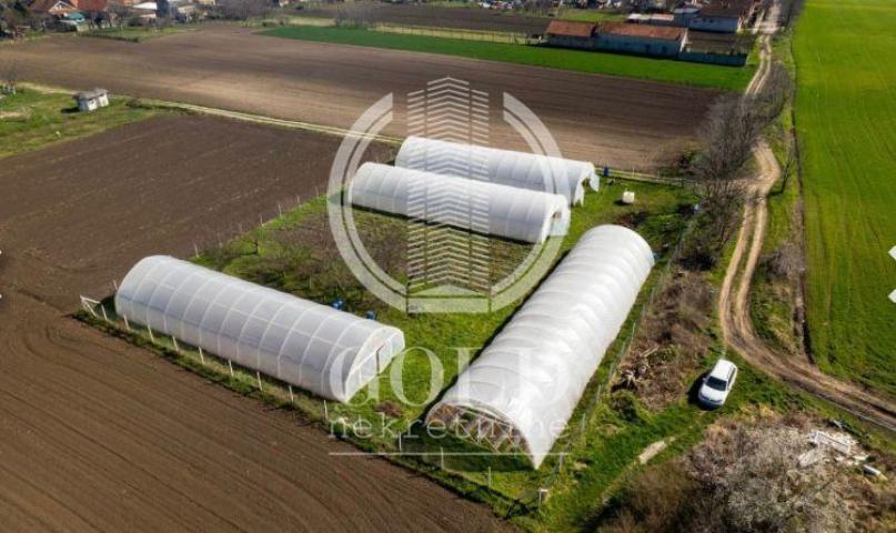 Izdavanje Plastenik 2313m2+Hladnjača 45m2-Temerin ID#6368