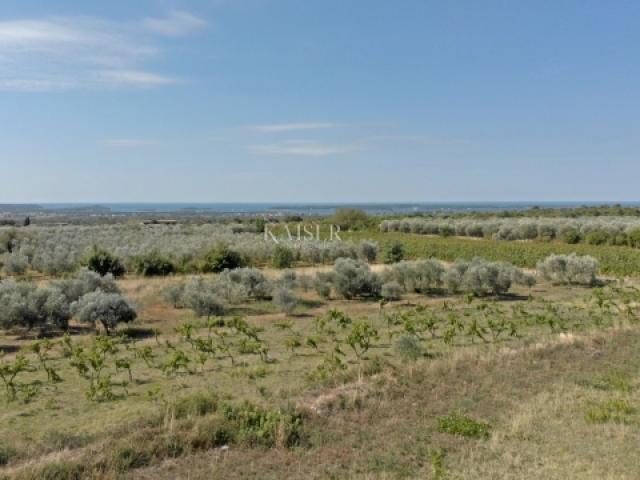 Istra - Vodnjan, luksuzna vila s pogledom na otočje Brijuni