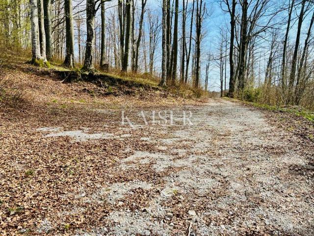 Building land Crni Lug, Delnice, 1.324m2