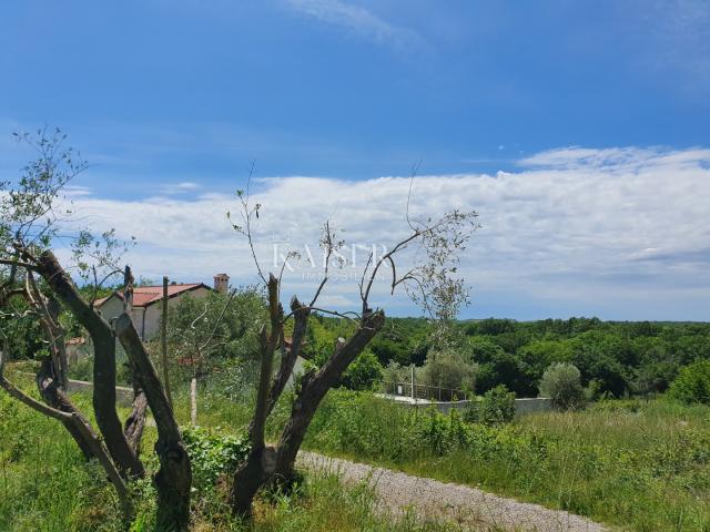 Building land Sveti Lovreč, 871m2