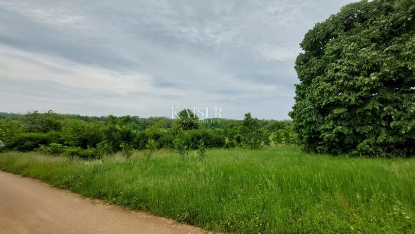 Ländereien Vižinada, 90.000m2