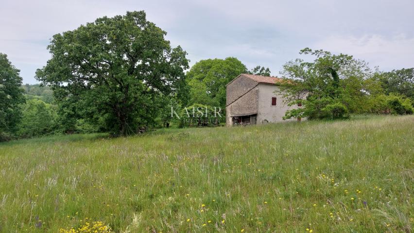 Ländereien Vižinada, 90.000m2