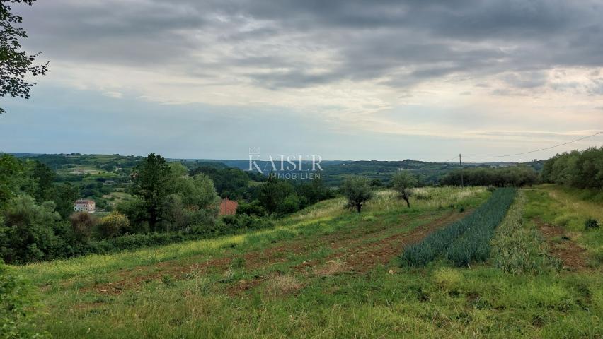 Bauland Grožnjan, 1.560m2