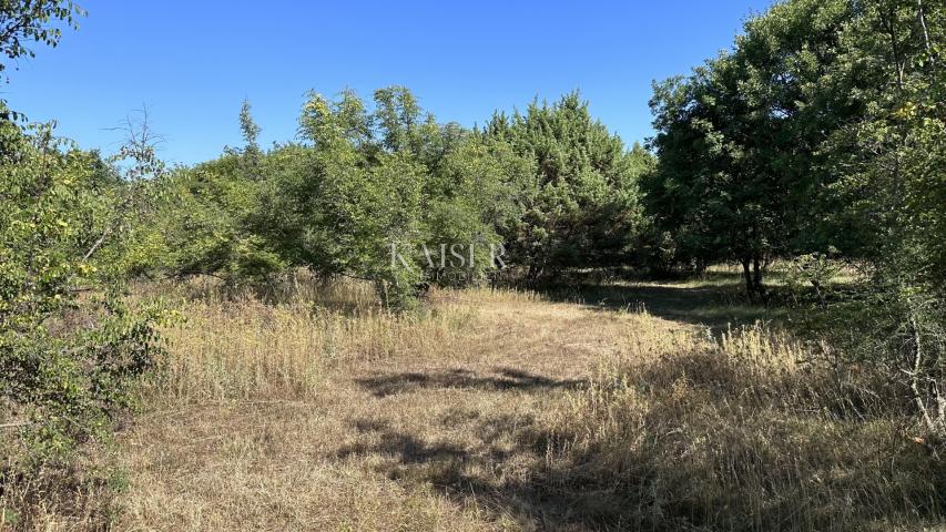 Island of Krk, Pinezići - agricultural land 2600 m2