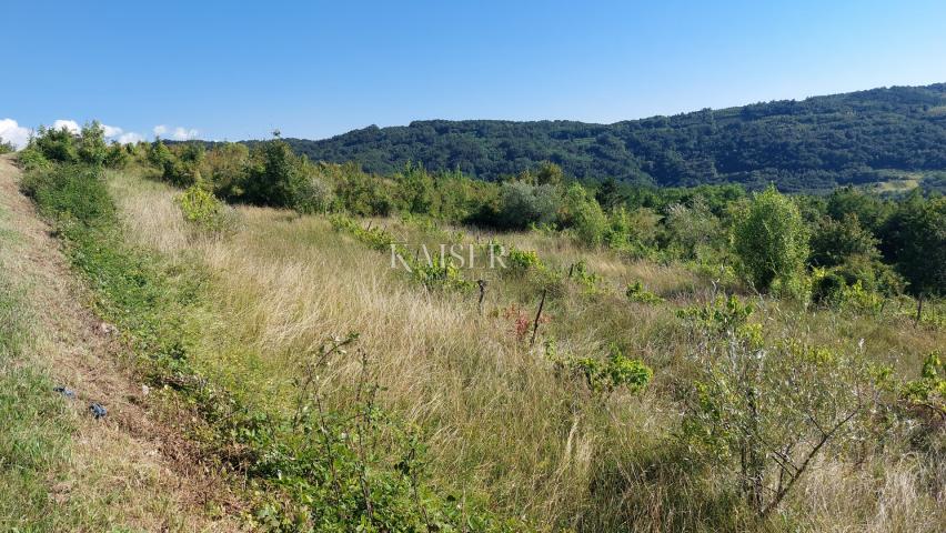 Istra, Motovun- građevinsko zemljište s predivnim panoramskim pogledom