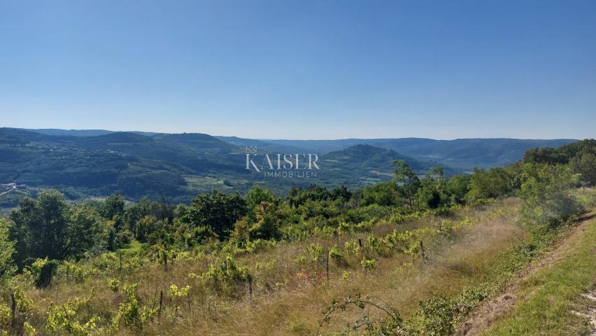 Istra, Motovun- građevinsko zemljište s predivnim panoramskim pogledom