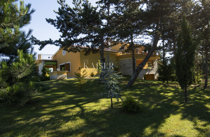 Istra, Pazin - jedinstveno imanje, 42. 000 m2