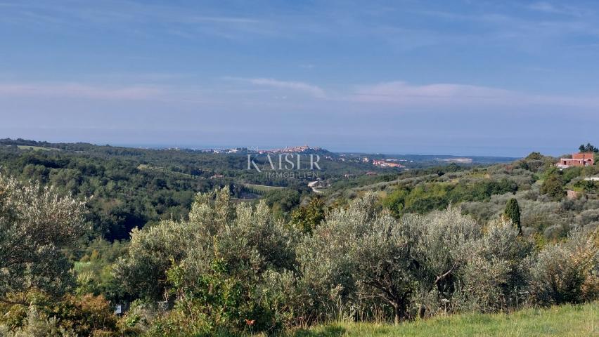 Istrien, Momjan – eine Villa mit Panoramablick auf das Meer und die Natur