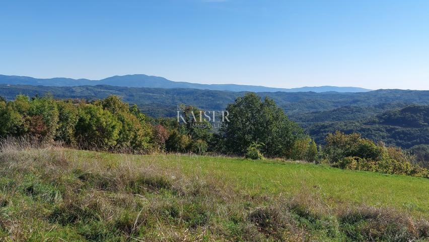 Istra, Motovun okolica, zemljište s građevinskom dozvolom za kuću