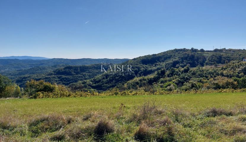 Istra, Motovun okolica, zemljište s građevinskom dozvolom za kuću