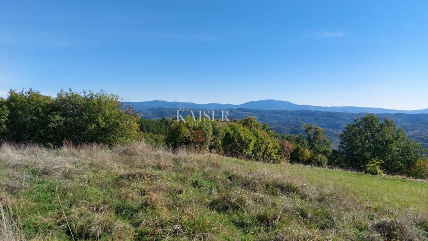 Istra, Motovun okolica, zemljište s građevinskom dozvolom za kuću