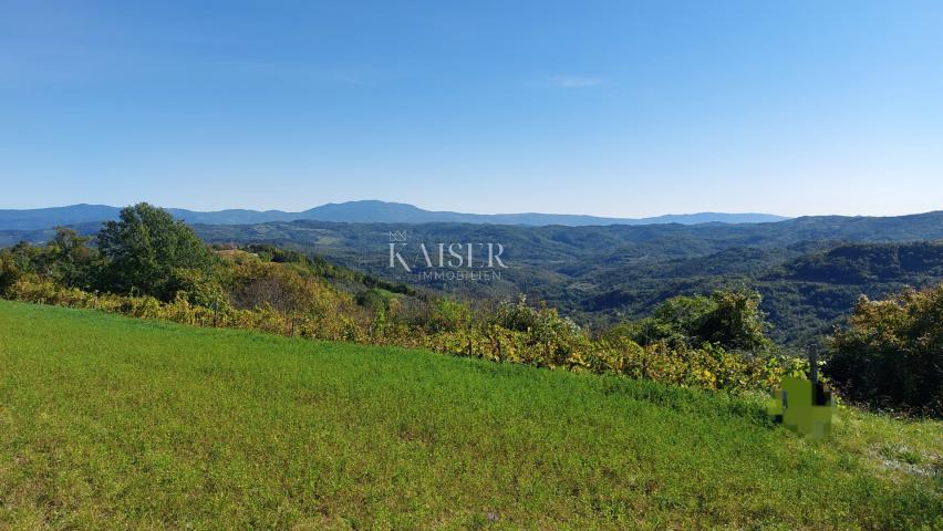 Istra, Motovun okolica, zemljište s građevinskom dozvolom za kuću