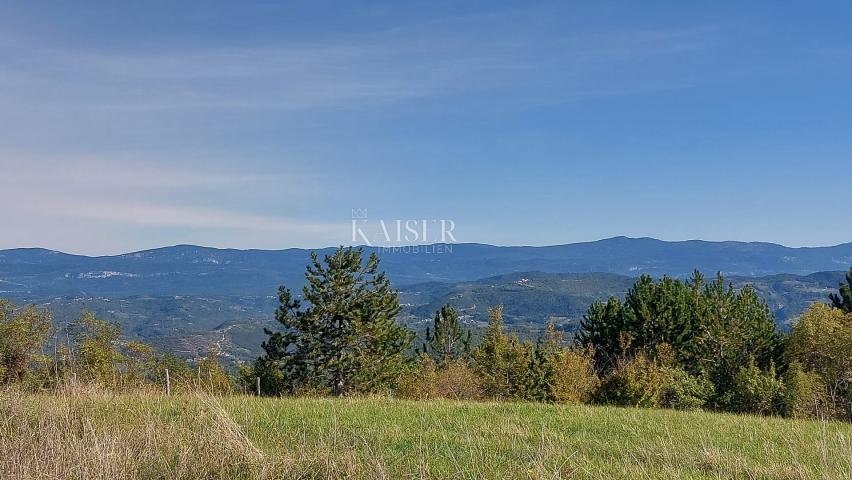 Istra, Motovun, građevinsko zemljište s dozvolama za luksuzne vile