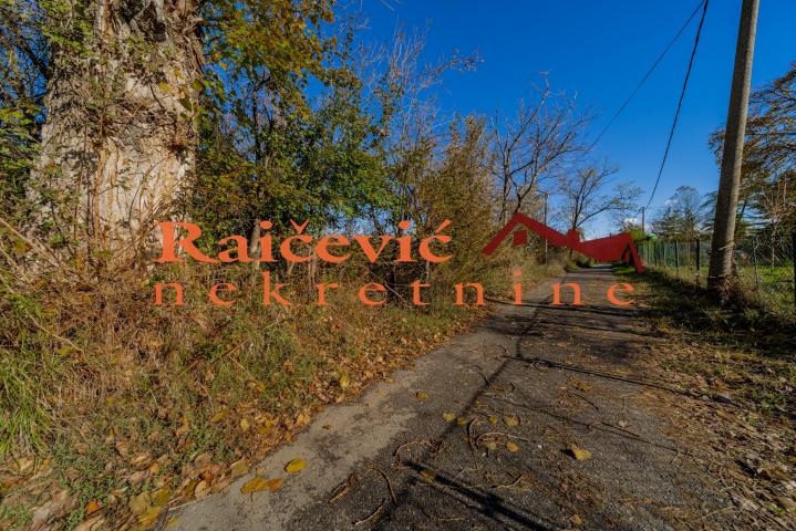 BARAJEVO BACEVAC 5115m2 , 250000e