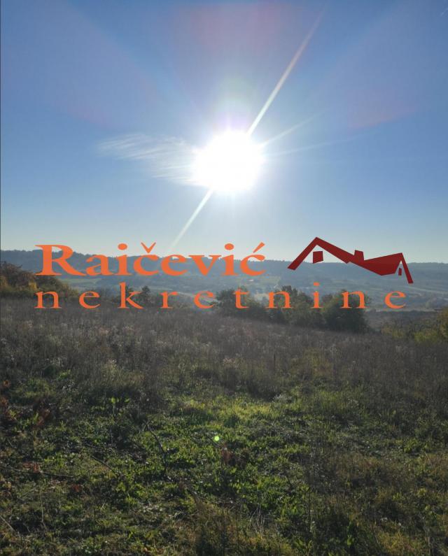 VOZDOVAC RIPANJ 4497m2 , 38000e