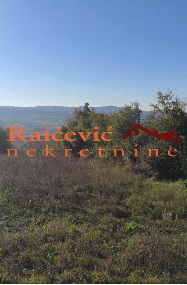 VOZDOVAC RIPANJ 4497m2 , 38000e