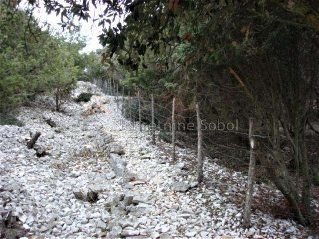 Mali Losinj - Agricultural, 16951 M2