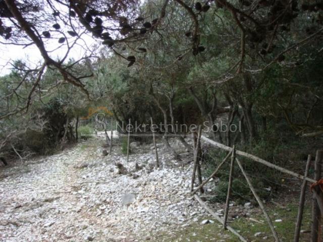 Mali Losinj - Agricultural, 16951 M2