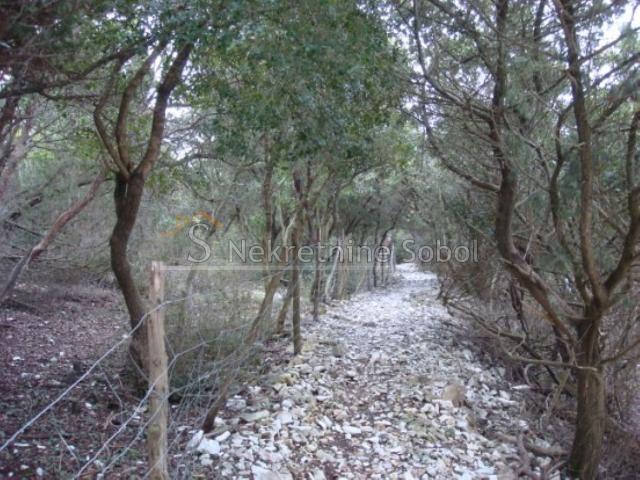 Mali Losinj - Agricultural, 16951 M2