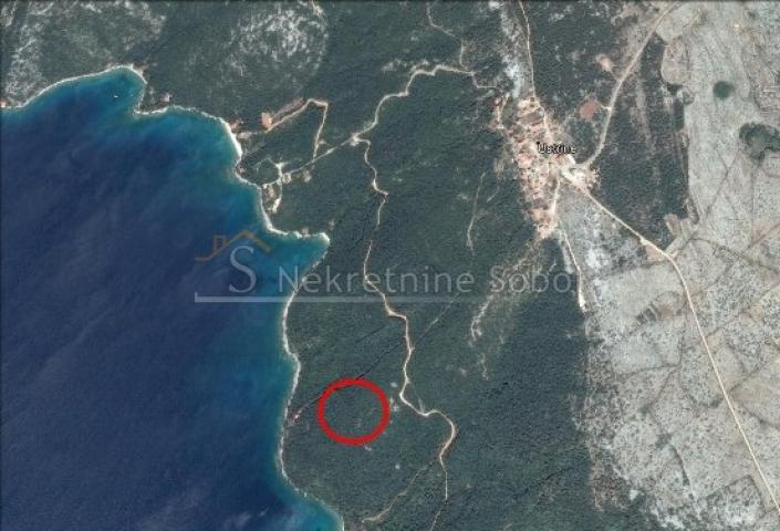 Ustrine, Otok Cres - Poljoprivredno, 10303 M2