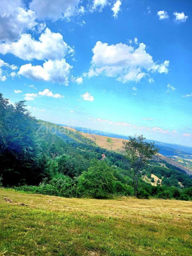 Zlatibor, Plac  1174m2 /Očka gora/ Zove/ Preporuka