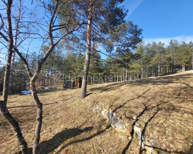 Zlatibor, Zova, Pored Zlatiborskih Konaka, 111m2, Preporuka