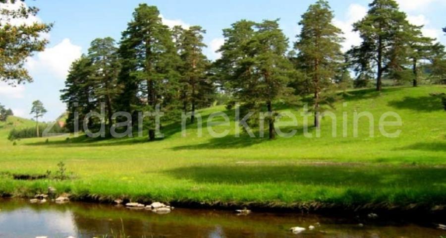 Zlatibor, Vodice, 1. 5ha, Izuzetno, Preporuka