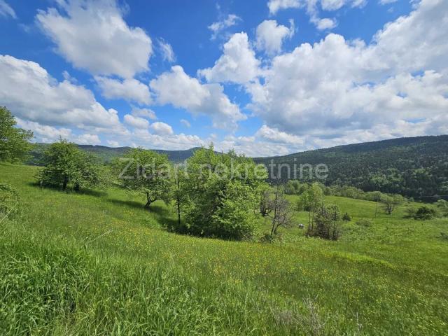 Zlatibor, Vodice, 1. 5ha, Izuzetno, Preporuka