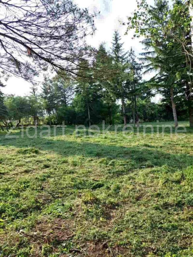 Veliki Borak, prodaja prizemne kuće na prostranom placu