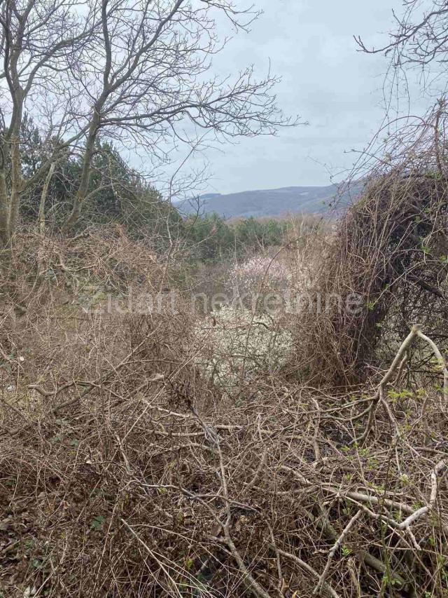 Fruška gora, 2ha 80ari