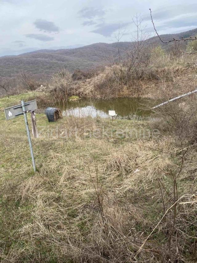 Fruška gora, 2ha 80ari