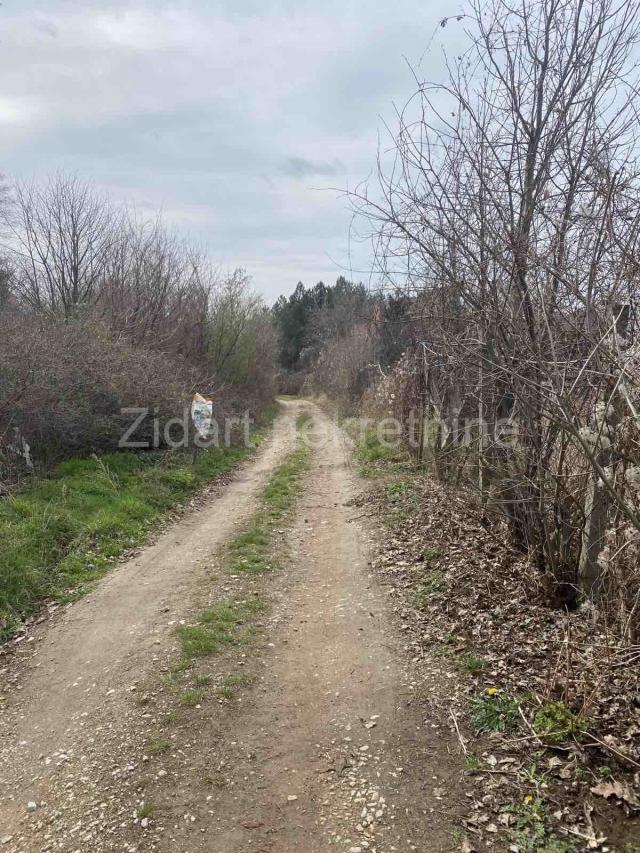 Fruška gora, 2ha 80ari