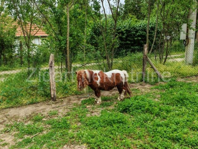 Savršena investicija za ljude koje spaja biznis i priroda