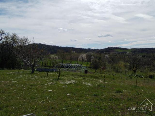 BAJKOVITO IMANJE 1ha, OKOLINA LAZAREVCA, NOVIJA KUĆA 290m2 SA VOĆNJAKOM I BAŠTOM