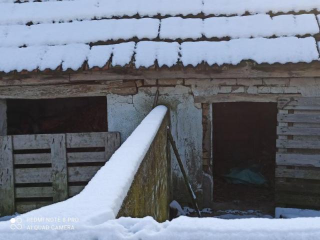 Salaš na Čeneju